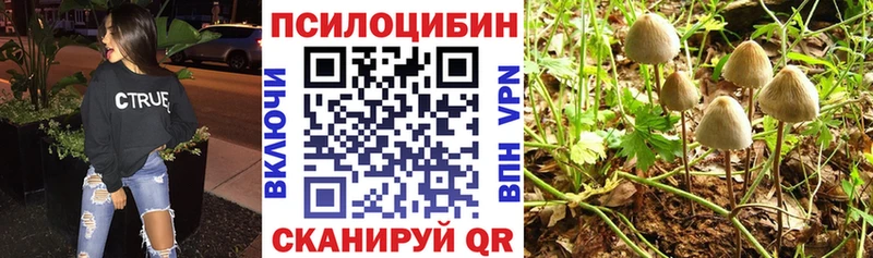 Галлюциногенные грибы GOLDEN TEACHER  Альметьевск 
