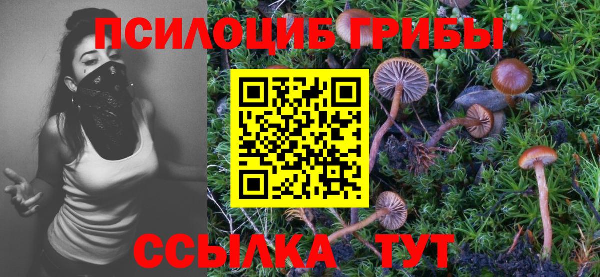 Галлюциногенные грибы GOLDEN TEACHER Альметьевск