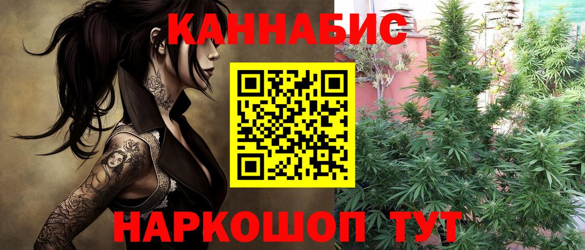Бошки Шишки планчик  Альметьевск  Марихуана планчик  Бошки Шишки OG Kush 